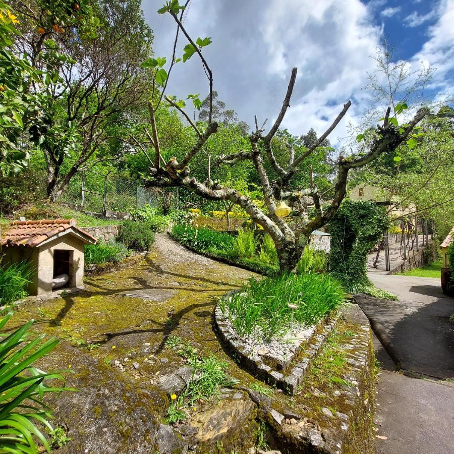 A Pousada Watermill Moinho Garcia Pinheiro da Bemposta Exterior foto
